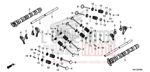ARBRE A CAMES/SOUPAPE GL1800DAL de 2020